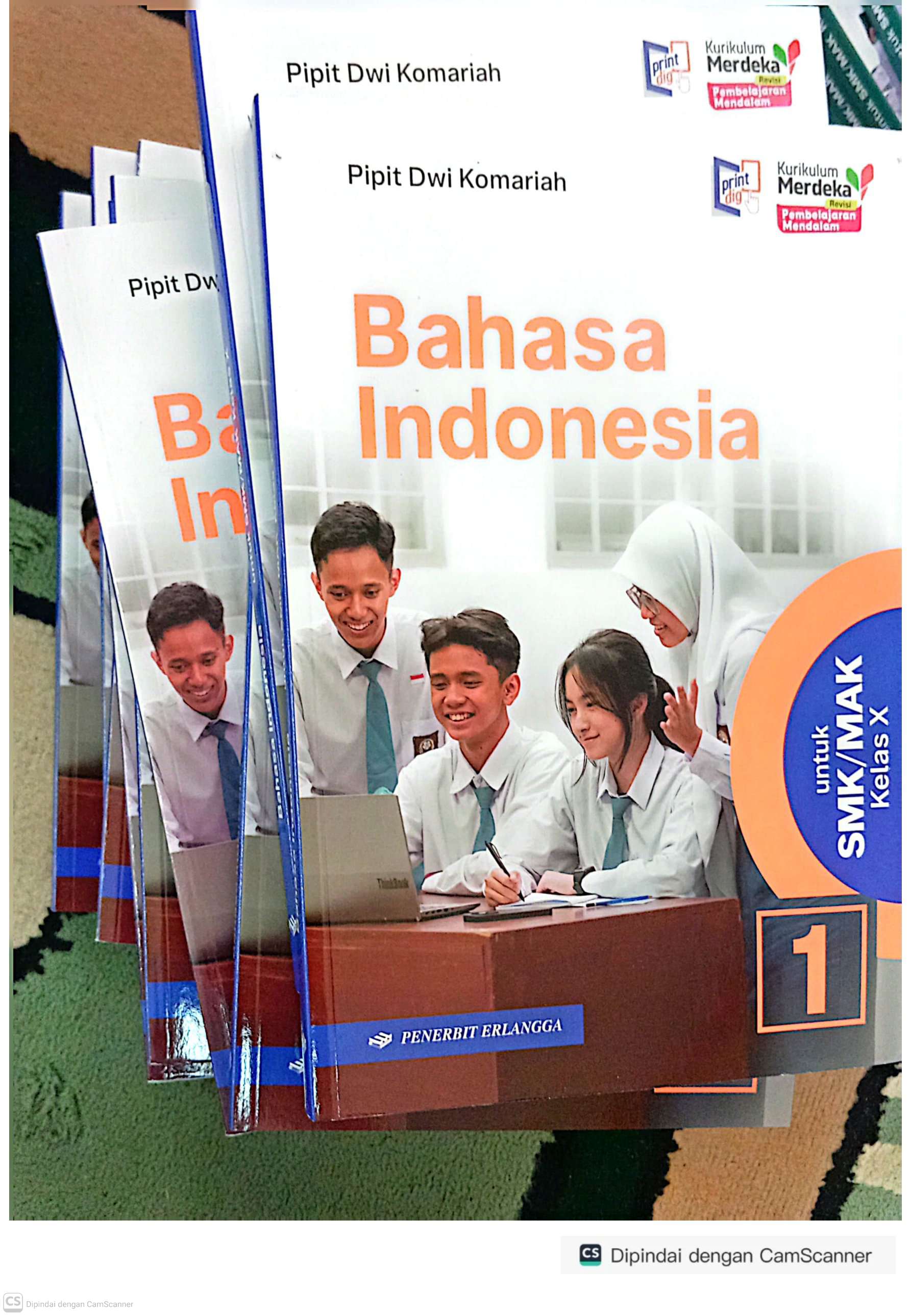 bahasa indonesia kelas x